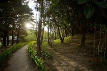 Buena Vista Lodge & Adventure Guanacaste Exterior photo